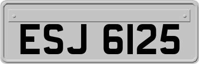 ESJ6125