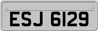 ESJ6129