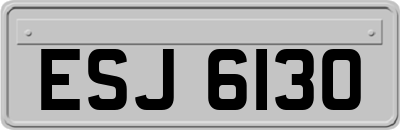 ESJ6130