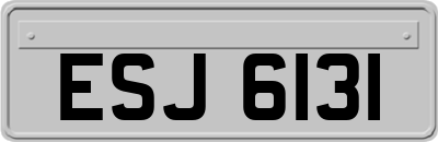 ESJ6131