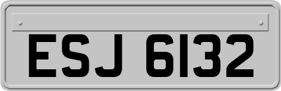 ESJ6132