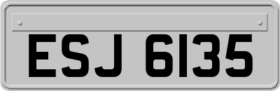 ESJ6135