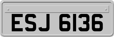 ESJ6136