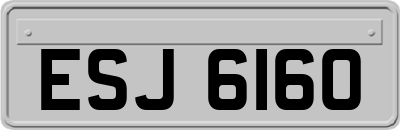 ESJ6160
