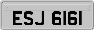 ESJ6161