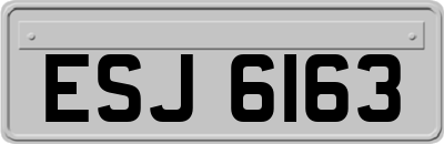 ESJ6163