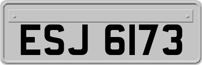 ESJ6173
