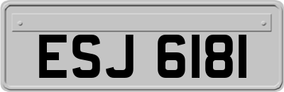 ESJ6181