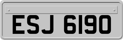ESJ6190