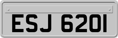ESJ6201
