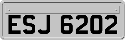 ESJ6202