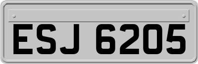 ESJ6205
