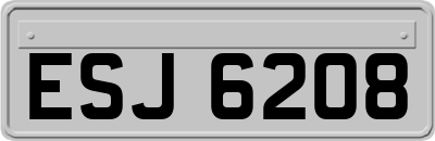ESJ6208