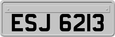 ESJ6213