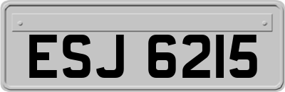 ESJ6215