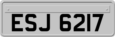 ESJ6217