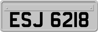 ESJ6218