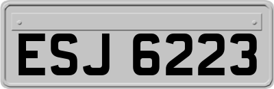 ESJ6223