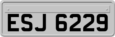 ESJ6229