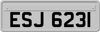 ESJ6231