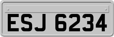 ESJ6234