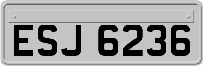 ESJ6236