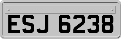 ESJ6238