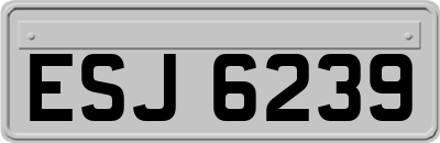 ESJ6239