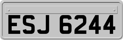 ESJ6244