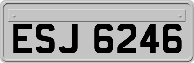 ESJ6246