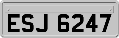 ESJ6247
