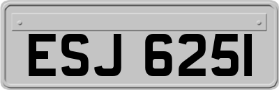 ESJ6251