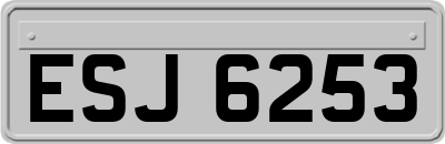 ESJ6253