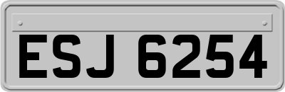 ESJ6254