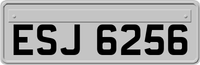 ESJ6256