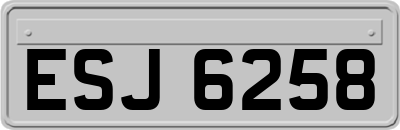 ESJ6258