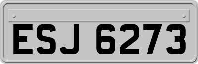 ESJ6273