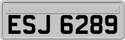 ESJ6289