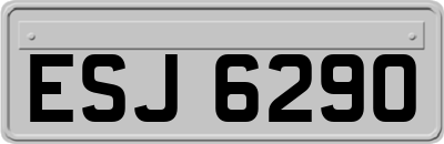 ESJ6290