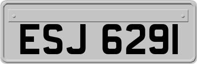 ESJ6291