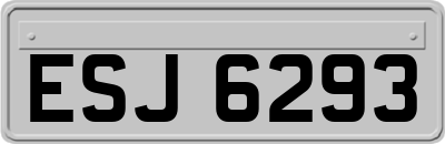 ESJ6293