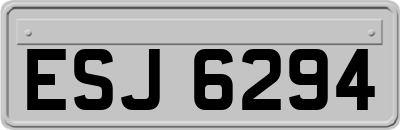 ESJ6294