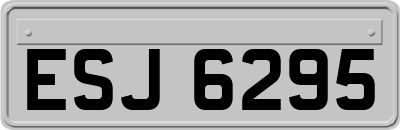 ESJ6295