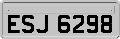 ESJ6298