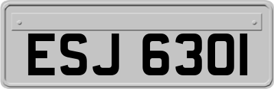ESJ6301