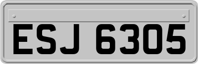 ESJ6305