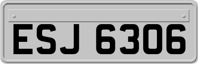 ESJ6306
