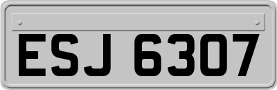 ESJ6307