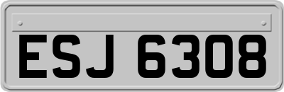 ESJ6308