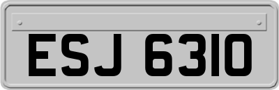 ESJ6310